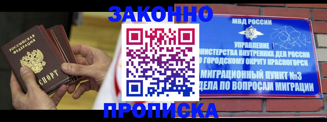 прописка для школы в Полярных Зорях